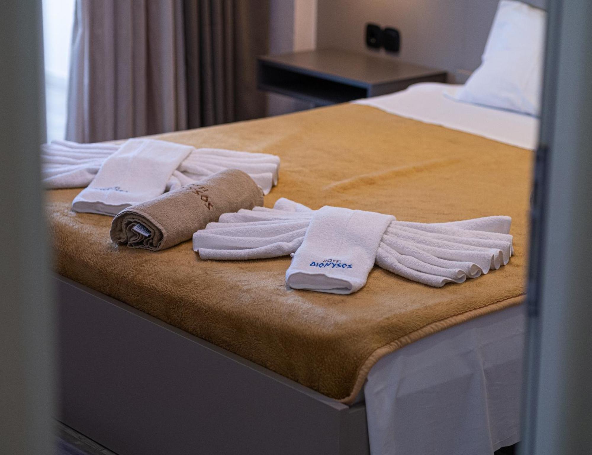 Hotel Dionysos Polichrono Polychrono Bagian luar foto